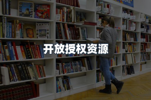 海外电子书